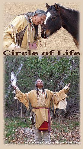 Circle of Life - Willd For life